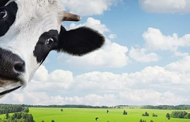 Model Agri-Smart Farm Project — UNRE & MENCERTC Collaboration